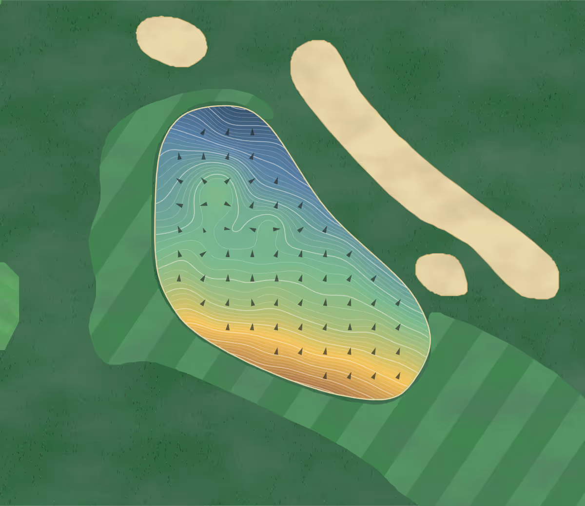 Green contour map of Waynesville Inn & in Waynesville, North Carolina — 308 elevation contours at a 3-inch interval with fall-line arrows, traced from 1-meter lidar