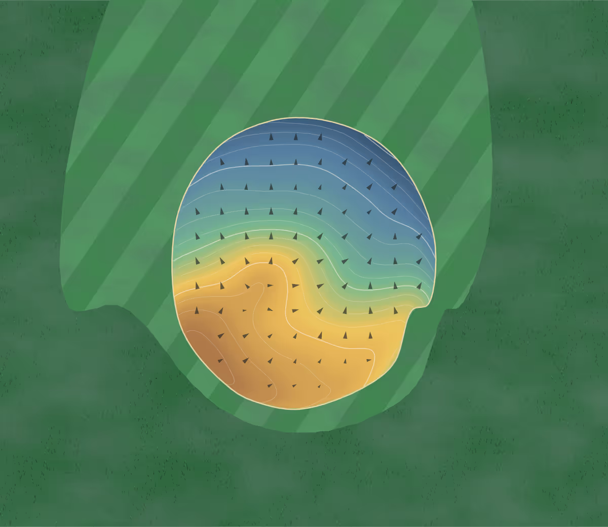 Green contour map of Webster City in Webster City, Iowa: 93 elevation contours at a 3-inch interval with fall-line arrows, traced from 1-meter lidar