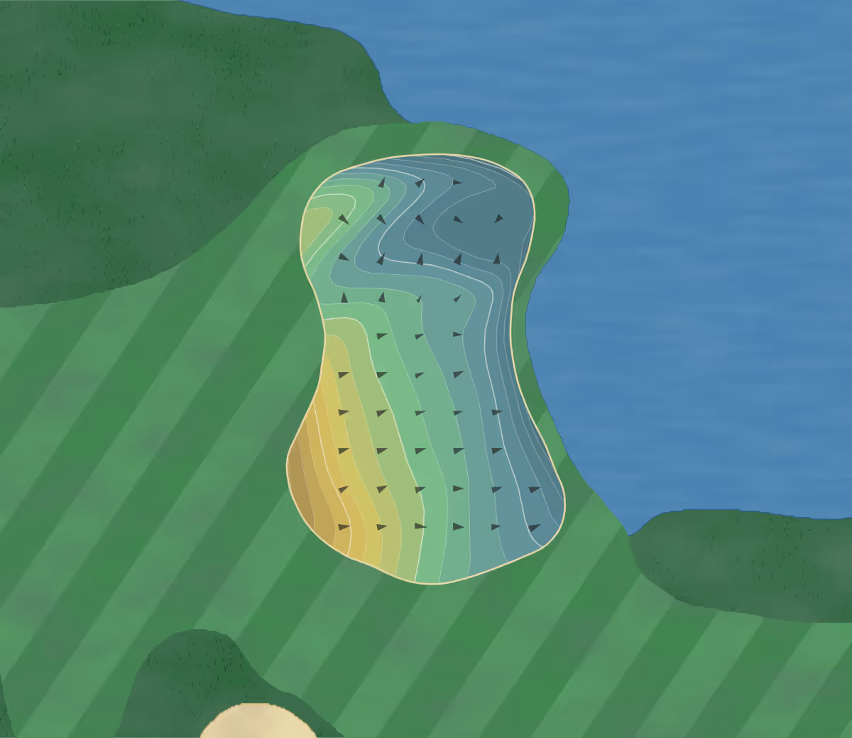 Green contour map of Wedgefield GC in Orlando, Florida — 149 elevation contours at a 3-inch interval with fall-line arrows, traced from 1-meter lidar
