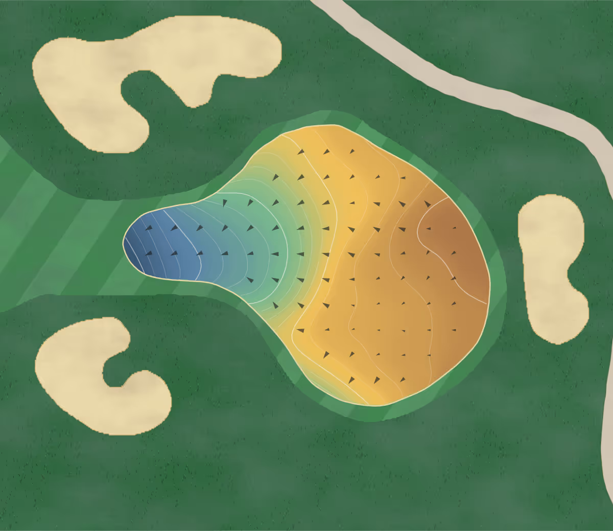 Green contour map of Wedges N' Woods in Guelph, Canada — 124 elevation contours at a 8-centimeter interval with fall-line arrows, traced from 1-meter lidar