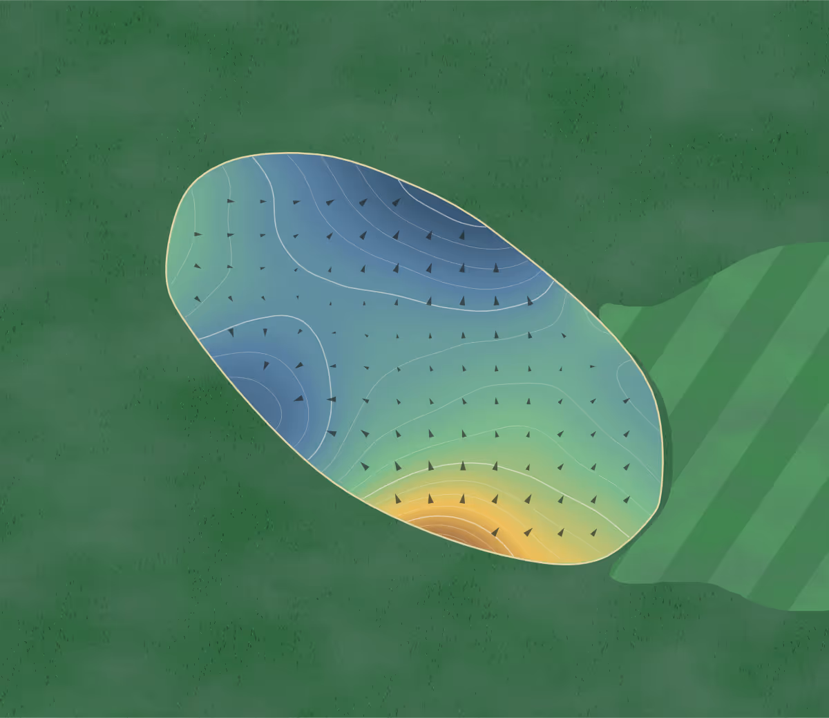 Green contour map of Wedgewood in Coopersburg, Pennsylvania: 290 elevation contours at a 3-inch interval with fall-line arrows, traced from 1-meter lidar