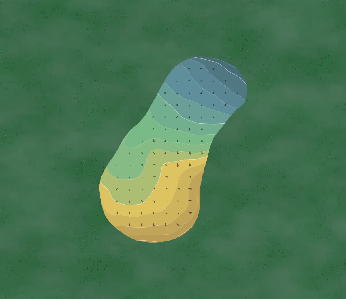 Green contour map of Wedgwood in Turnersville, New Jersey — 50 elevation contours at a 3-inch interval with fall-line arrows, traced from 1-meter lidar