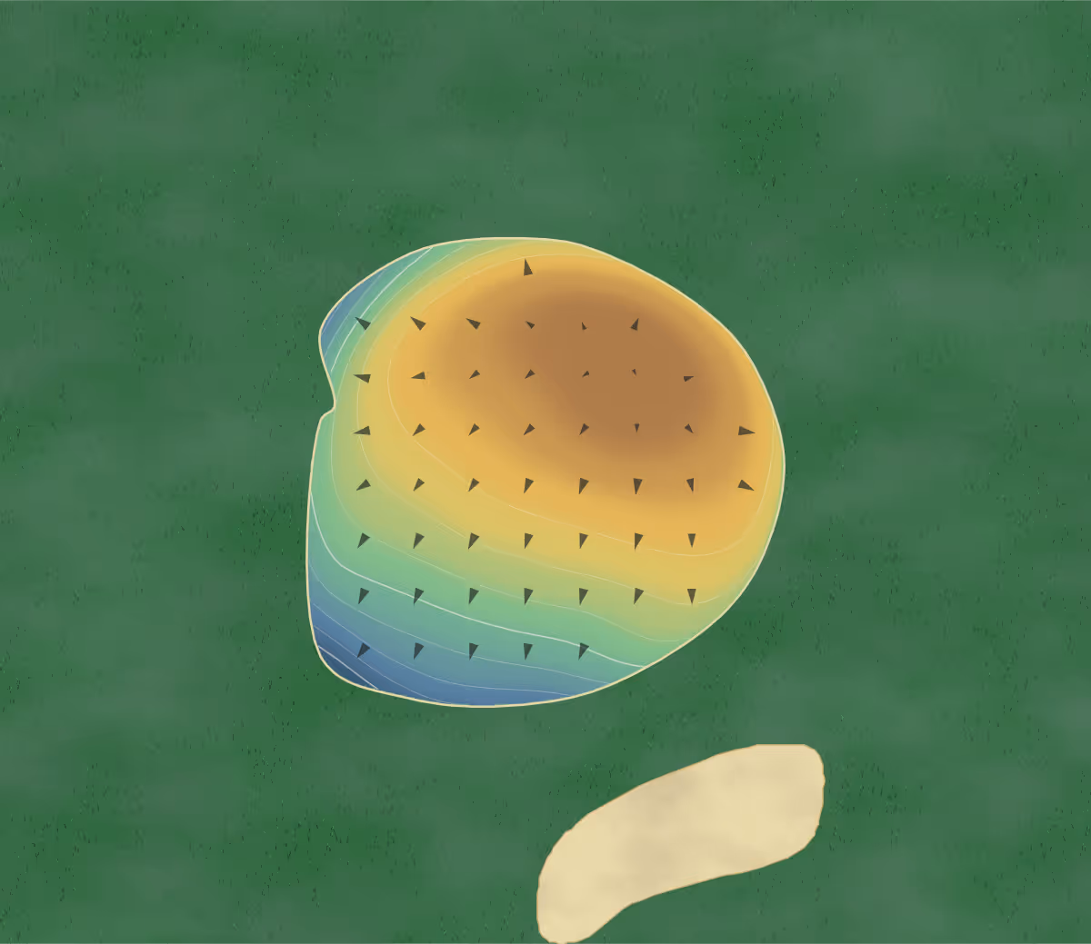 Green contour map of Wellington GC in Wellington, Kansas: 164 elevation contours at a 3-inch interval with fall-line arrows, traced from 1-meter lidar