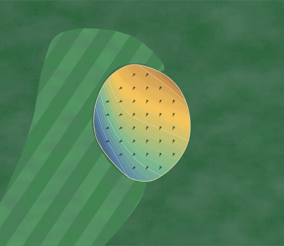 Green contour map of Wequetonsing in Harbor Springs, Michigan: 195 elevation contours at a 3-inch interval with fall-line arrows, traced from 1-meter lidar