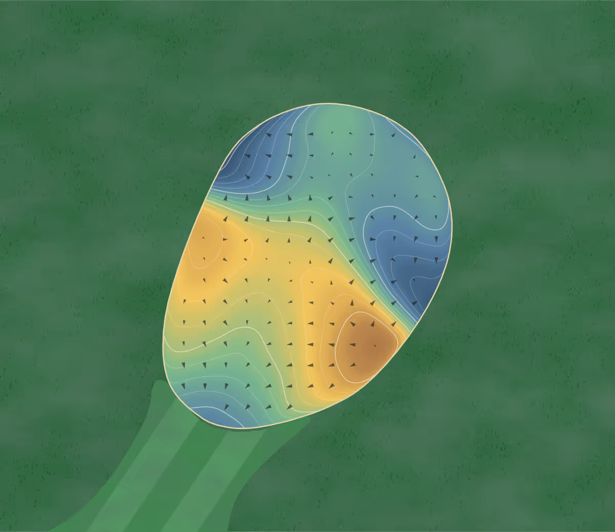Green contour map of West Bend CC in West Bend, Wisconsin: 215 elevation contours at a 3-inch interval with fall-line arrows, traced from 1-meter lidar