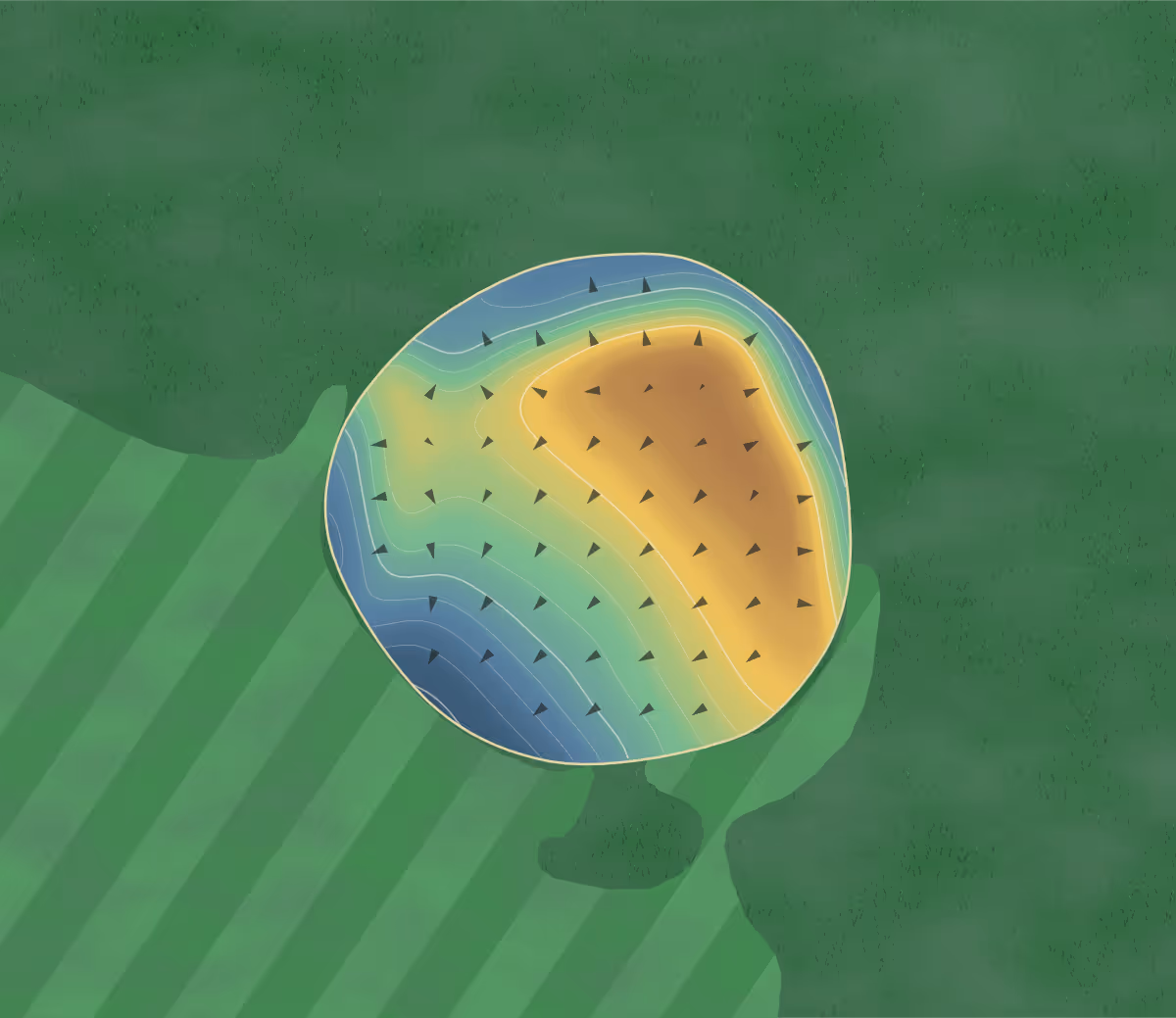 Green contour map of West Pubnico in Pubnico, Canada: 174 elevation contours at a 8-centimeter interval with fall-line arrows, traced from 1-meter lidar
