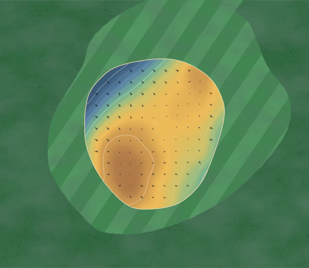 Green contour map of West Richland in Washington, United States — 117 elevation contours at a 3-inch interval with fall-line arrows, traced from 1-meter lidar