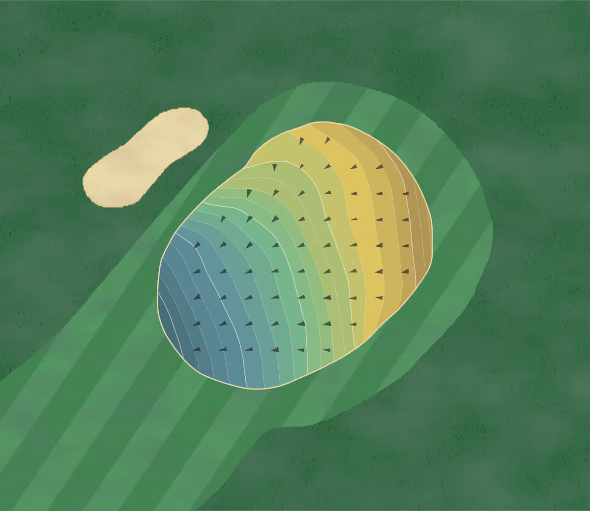 Green contour map of Westborough CC in Westborough, Massachusetts — 113 elevation contours at a 3-inch interval with fall-line arrows, traced from 1-meter lidar