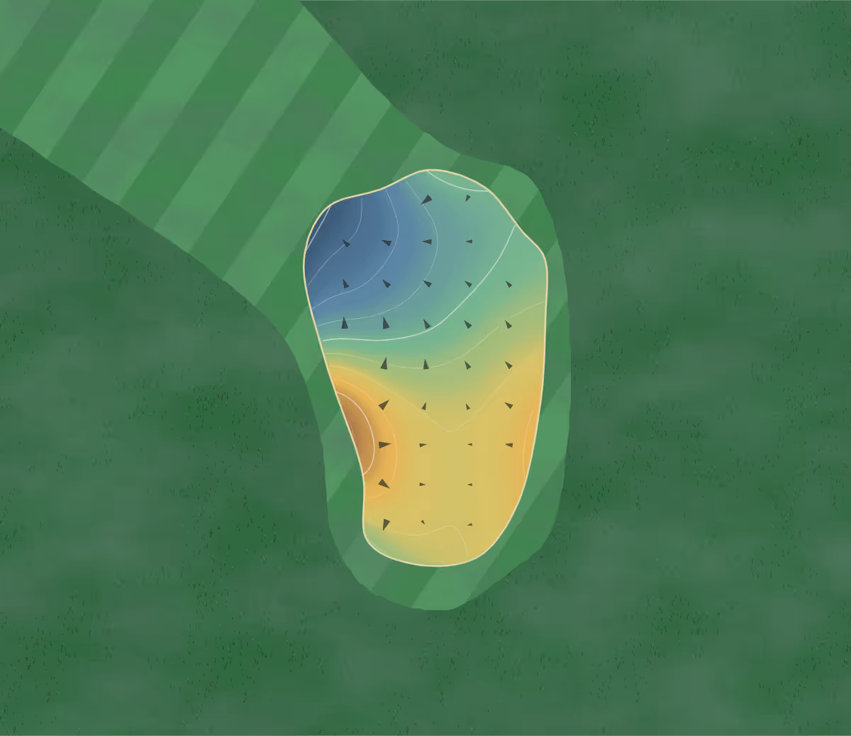 Green contour map of Westdrift in Manhattan Beach, California — 80 elevation contours at a 3-inch interval with fall-line arrows, traced from 1-meter lidar