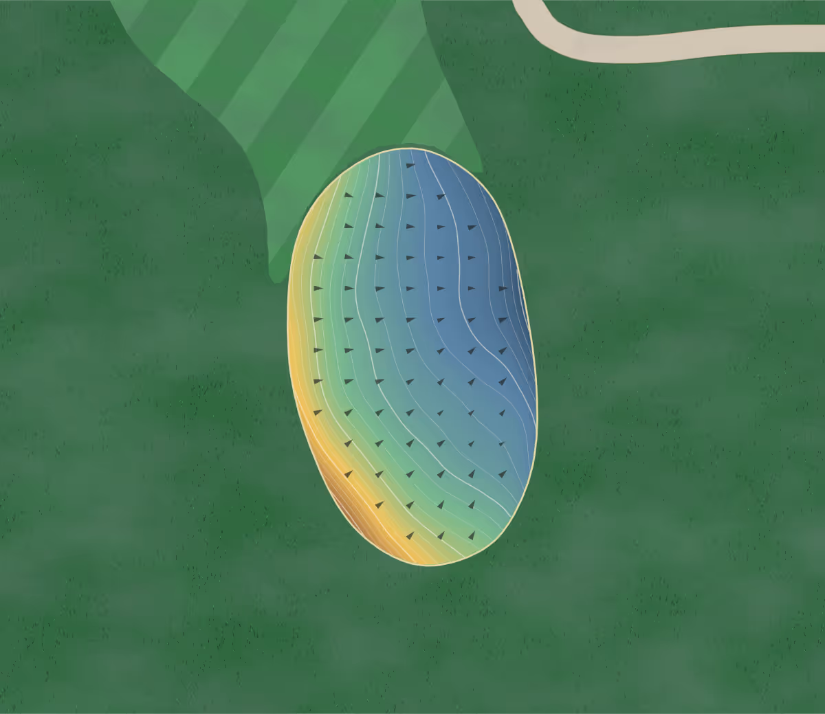 Green contour map of Western Turnpike in Guilderland, New York: 295 elevation contours at a 3-inch interval with fall-line arrows, traced from 1-meter lidar