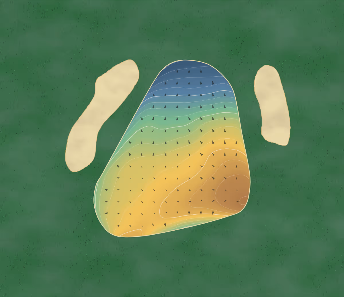 Green contour map of Westfield in Grand Bay-Westfield, Canada — 171 elevation contours at a 8-centimeter interval with fall-line arrows, traced from 1-meter lidar