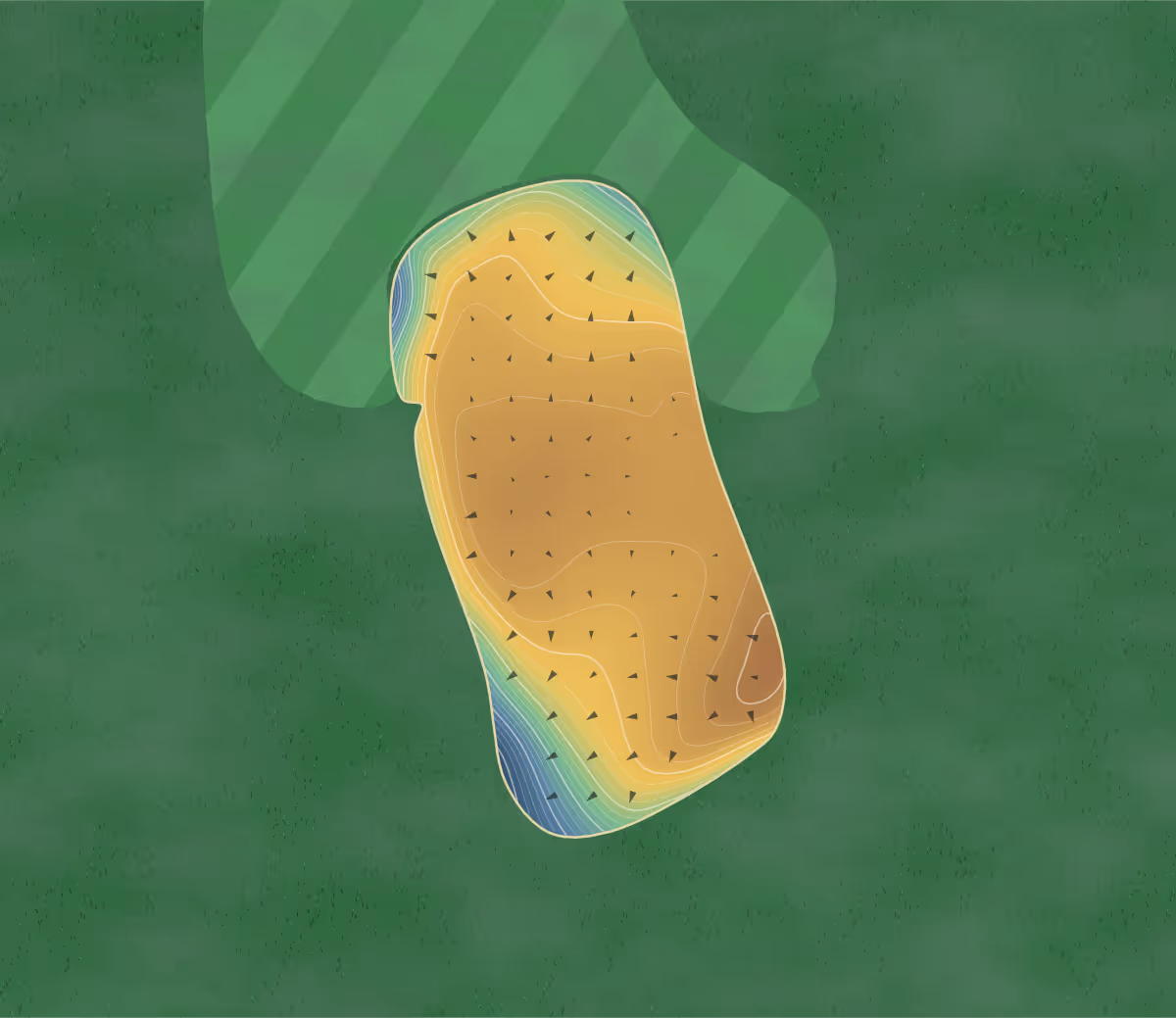 Green contour map of Westhaven in Franklin, Tennessee: 288 elevation contours at a 3-inch interval with fall-line arrows, traced from 1-meter lidar