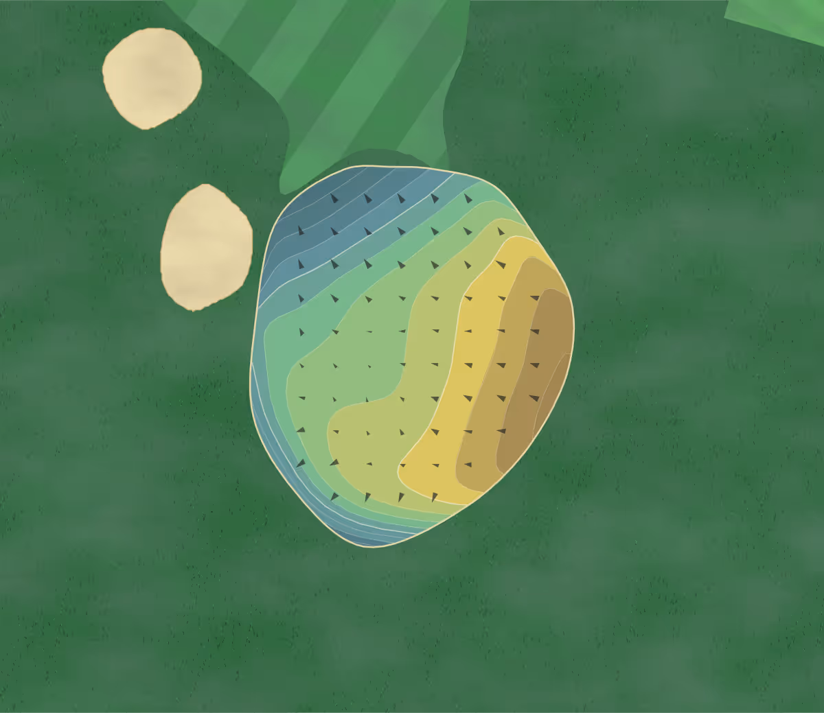 Green contour map of Westwood Country Club in Phillips, Wisconsin — 83 elevation contours at a 3-inch interval with fall-line arrows, traced from 1-meter lidar