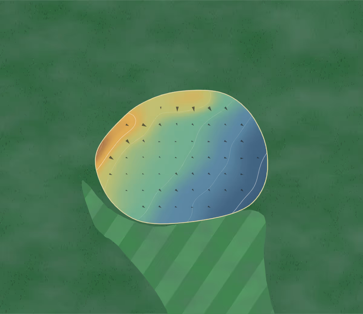 Green contour map of Whaddon in Whaddon, England: 6 elevation contours at a 8-centimeter interval with fall-line arrows, traced from 1-meter lidar