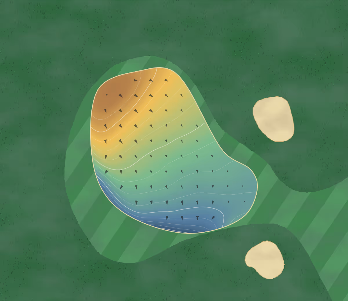 Green contour map of Whakatāne in Thornton, New Zealand — 187 elevation contours at a 8-centimeter interval with fall-line arrows, traced from 1-meter lidar
