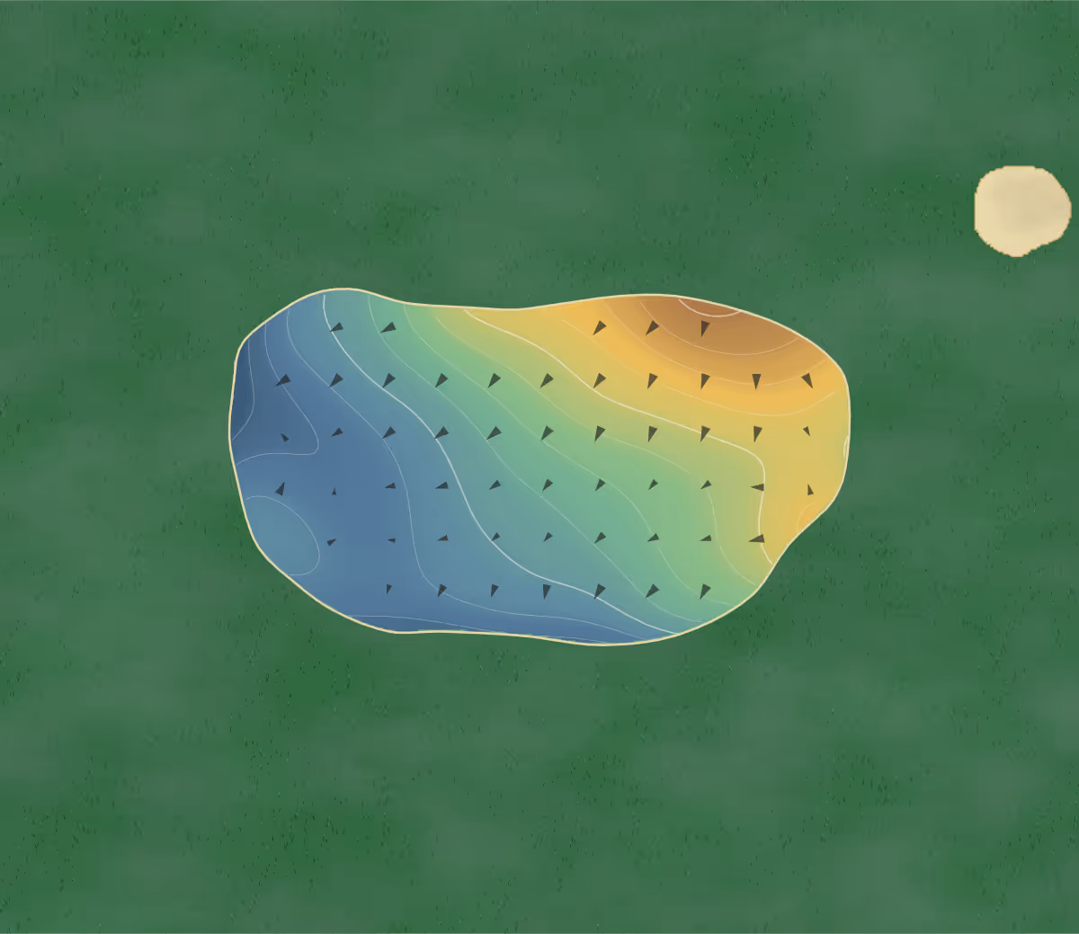 Green contour map of Whangaparaoa in Auckland, New Zealand — 222 elevation contours at a 8-centimeter interval with fall-line arrows, traced from 1-meter lidar