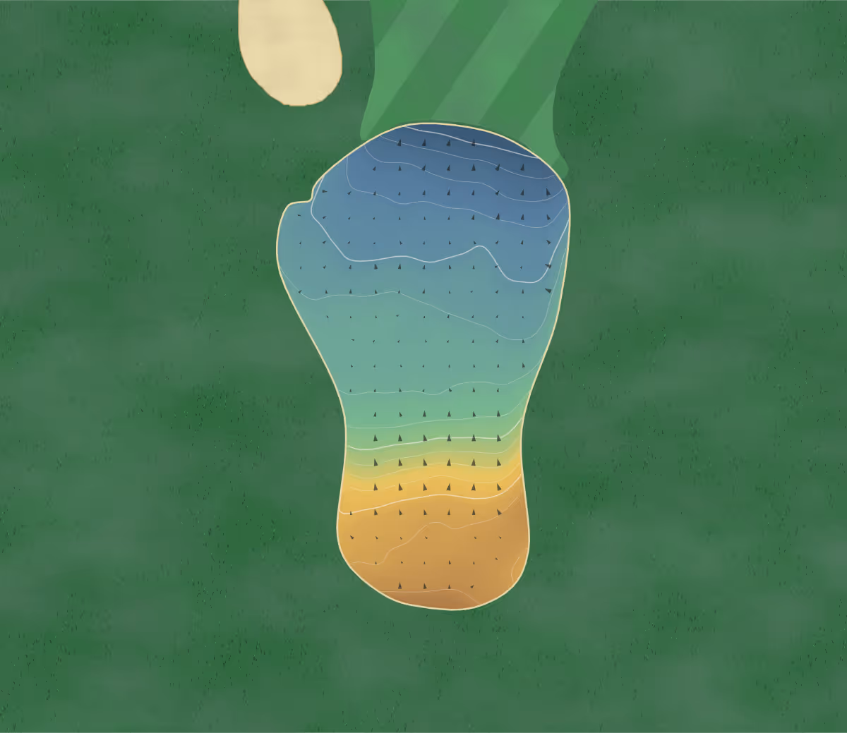 Green contour map of Wheatfield Valley in Williamston, Michigan: 191 elevation contours at a 3-inch interval with fall-line arrows, traced from 1-meter lidar