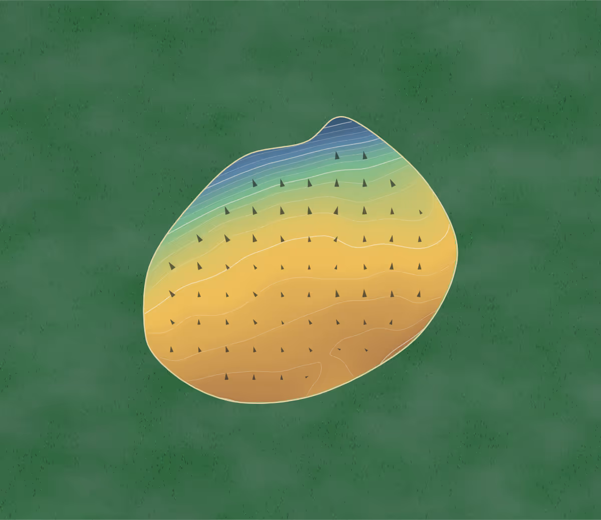 Green contour map of Whispering Winds in Cannon Afb, New Mexico: 163 elevation contours at a 3-inch interval with fall-line arrows, traced from 1-meter lidar
