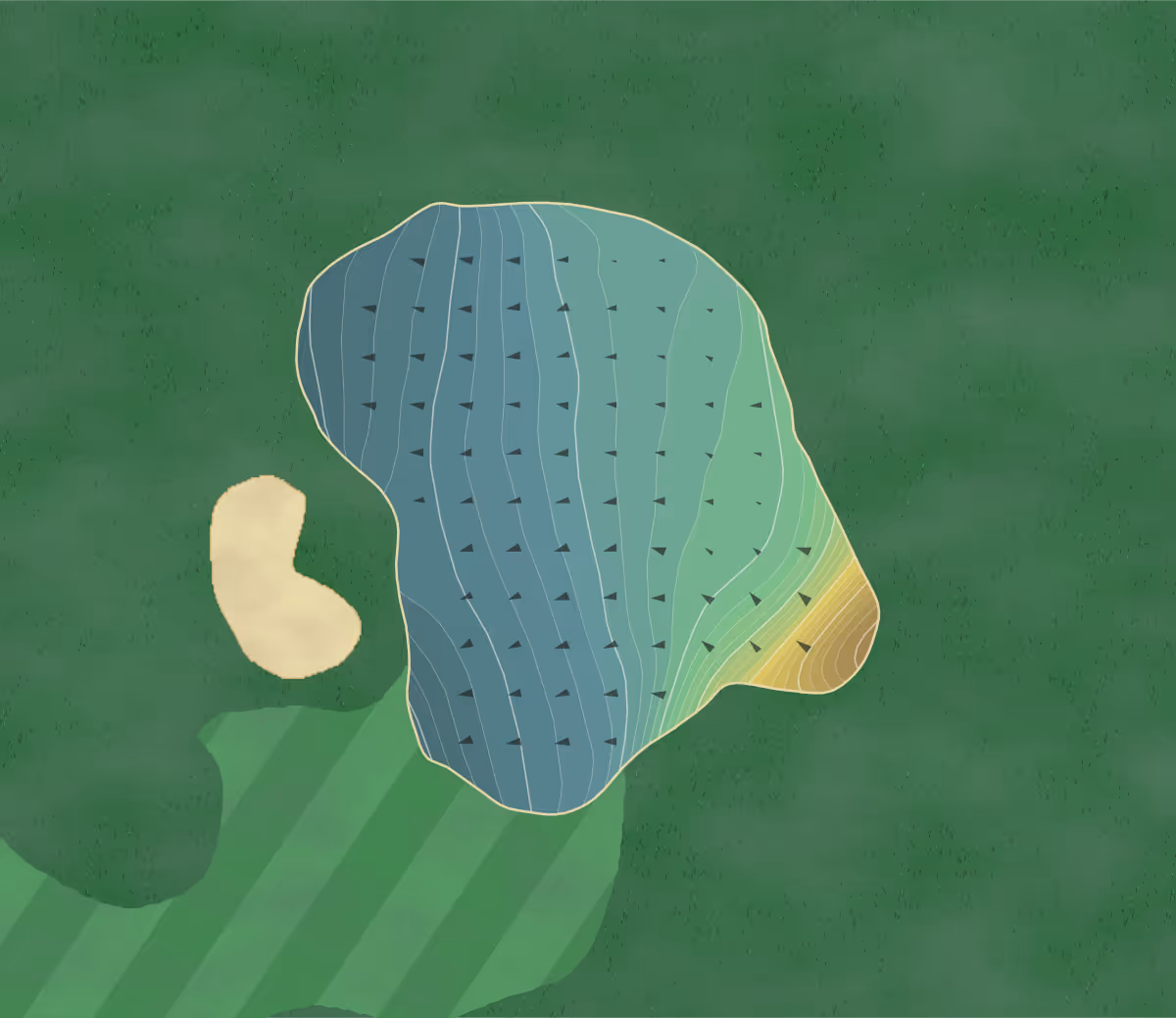 Green contour map of White Bluff in Whitney, Texas — 329 elevation contours at a 3-inch interval with fall-line arrows, traced from 1-meter lidar