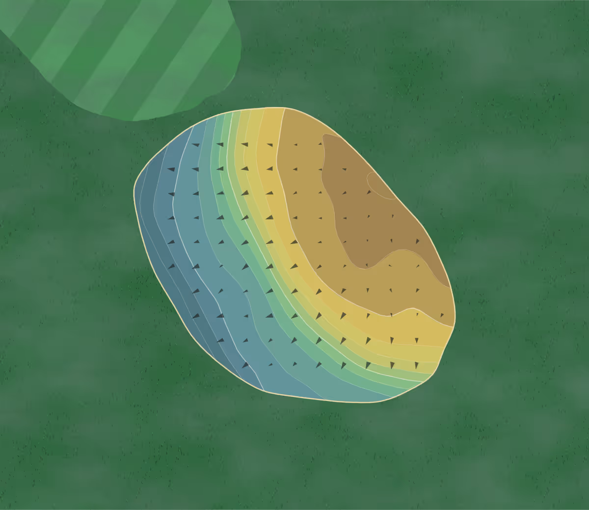 Green contour map of White Plains in Algood, Tennessee — 61 elevation contours at a 3-inch interval with fall-line arrows, traced from 1-meter lidar