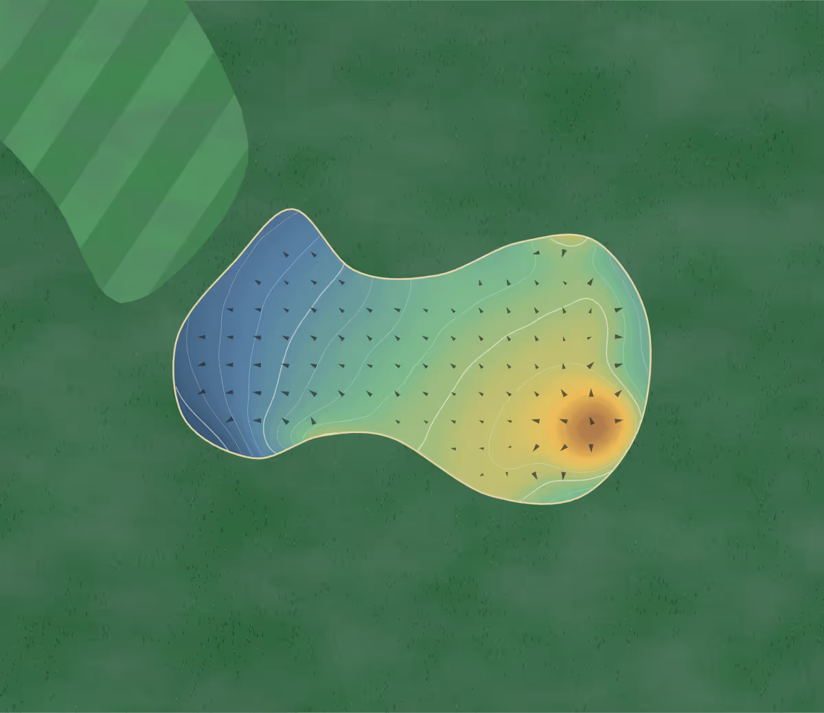 Green contour map of Whitecraigs in Glasgow, England — 181 elevation contours at a 8-centimeter interval with fall-line arrows, traced from 1-meter lidar