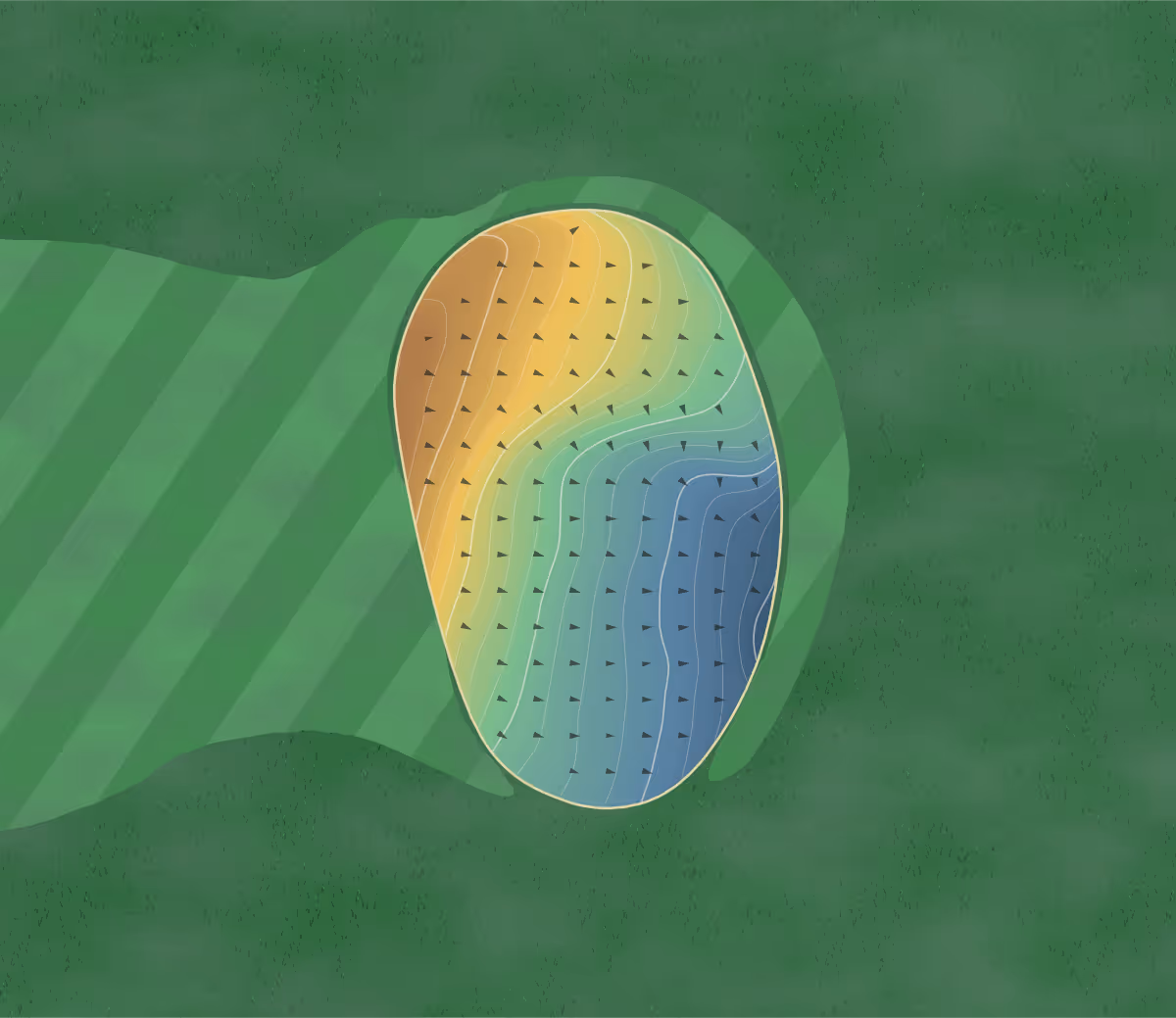 Green contour map of Whitefields in Rugby, England: 153 elevation contours at a 8-centimeter interval with fall-line arrows, traced from 1-meter lidar