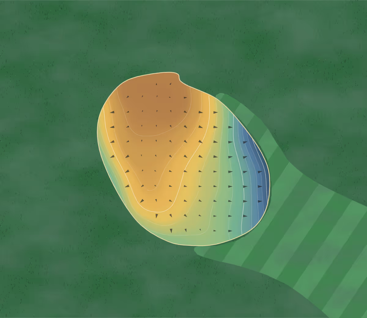 Green contour map of Whitehall in Whitehall, Wisconsin: 86 elevation contours at a 3-inch interval with fall-line arrows, traced from 1-meter lidar