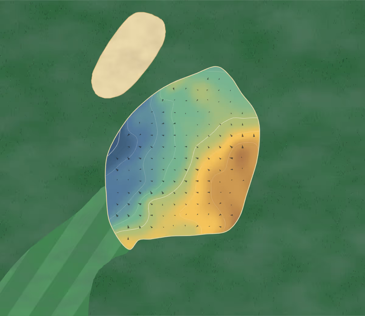 Green contour map of Whittington Heath in Lichfield, England: 8 elevation contours at a 8-centimeter interval with fall-line arrows, traced from 1-meter lidar