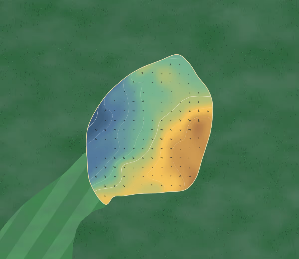 Green contour map of Whittington Heath in Lichfield, England — 8 elevation contours at a 8-centimeter interval with fall-line arrows, traced from 1-meter lidar