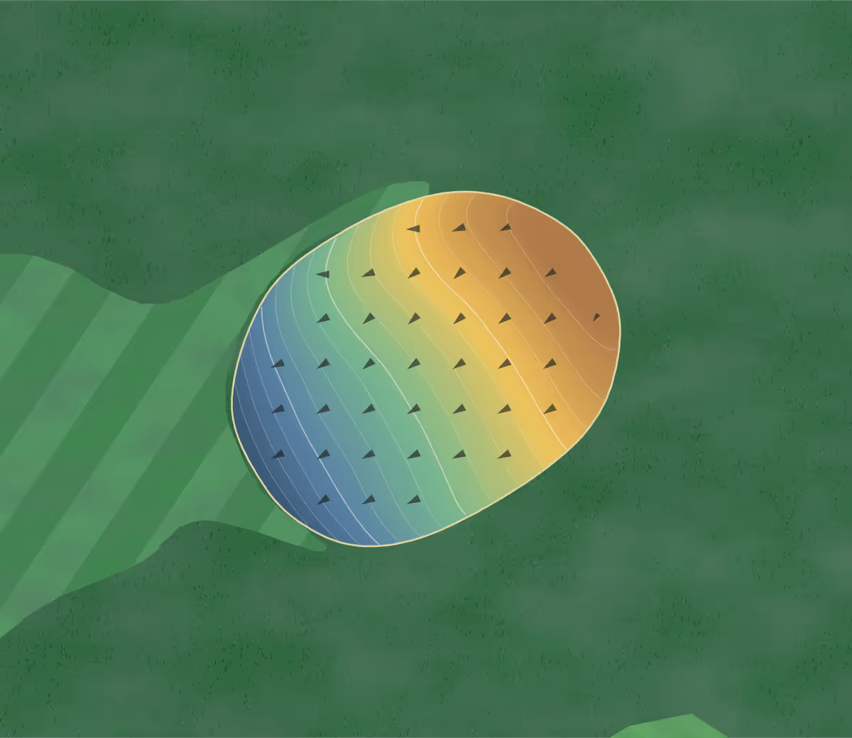 Green contour map of Whittle Springs in Corryton, Tennessee: 202 elevation contours at a 3-inch interval with fall-line arrows, traced from 1-meter lidar