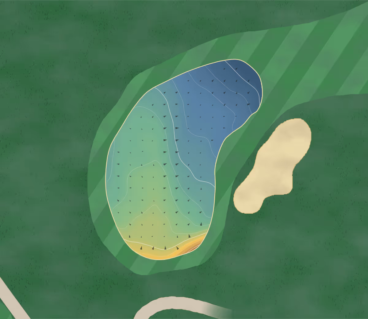 Green contour map of Widder Station in Thedford, Canada — 159 elevation contours at a 8-centimeter interval with fall-line arrows, traced from 1-meter lidar
