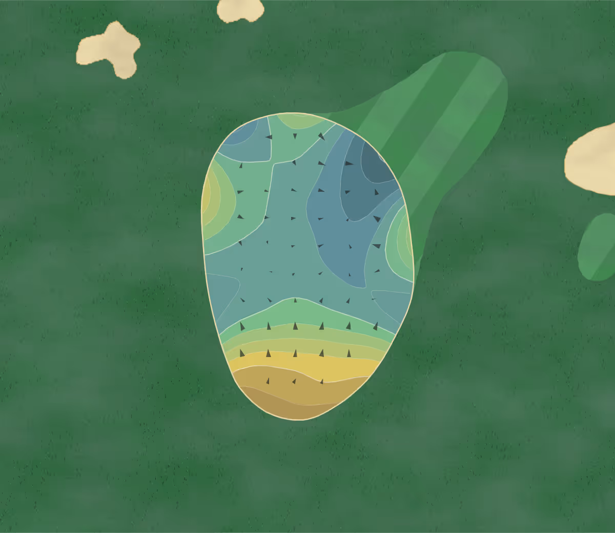 Green contour map of Wild Dunes in Isle of Palms, South Carolina — 208 elevation contours at a 3-inch interval with fall-line arrows, traced from 1-meter lidar