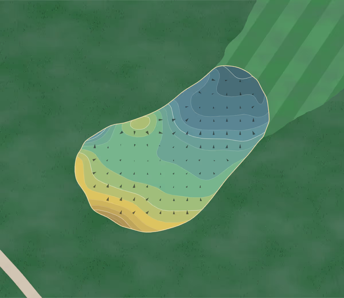 Green contour map of Wild Marsh in Buffalo, Minnesota — 247 elevation contours at a 3-inch interval with fall-line arrows, traced from 1-meter lidar