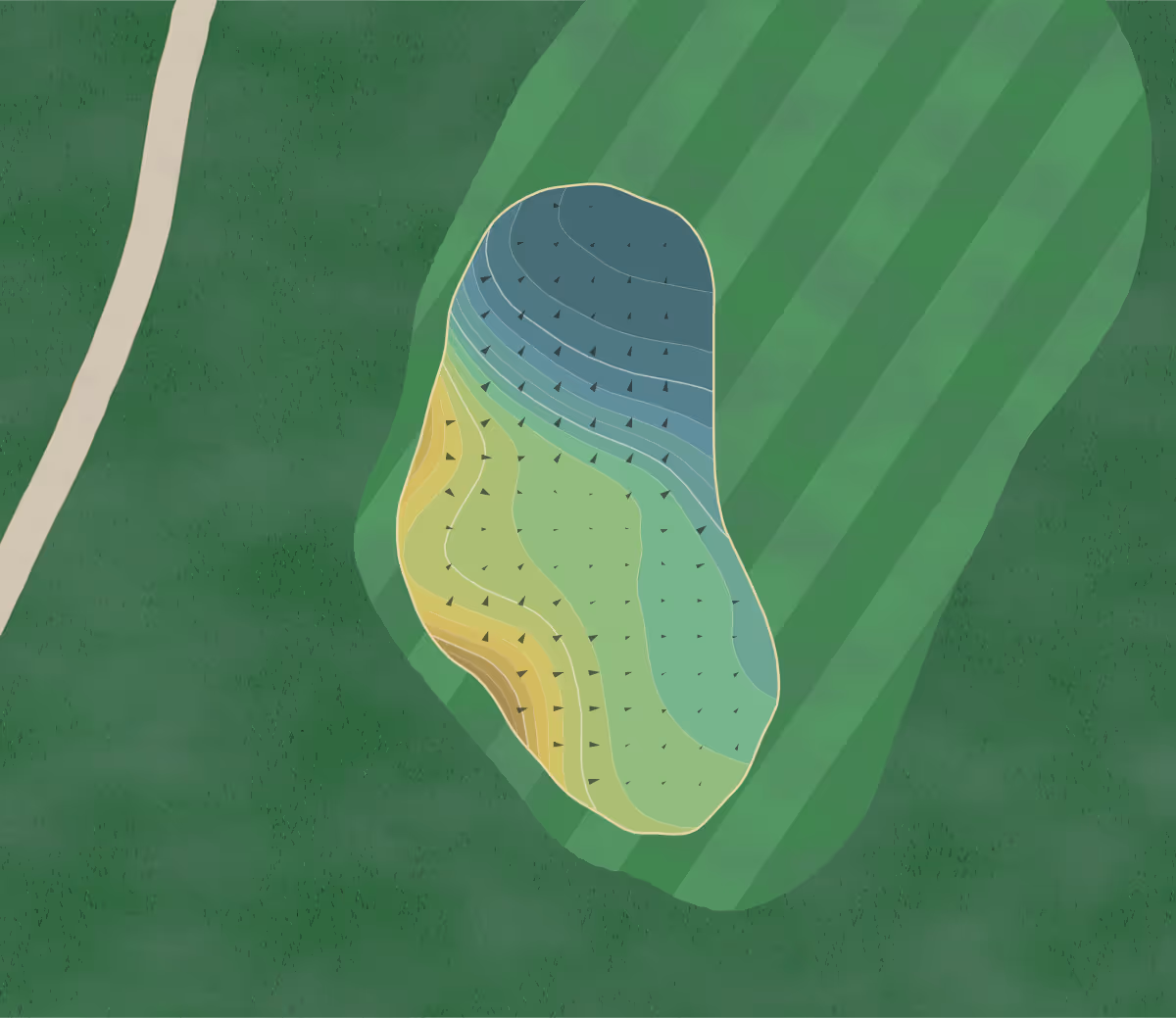 Green contour map of Wild Ridge in Eau Claire, Wisconsin — 277 elevation contours at a 3-inch interval with fall-line arrows, traced from 1-meter lidar