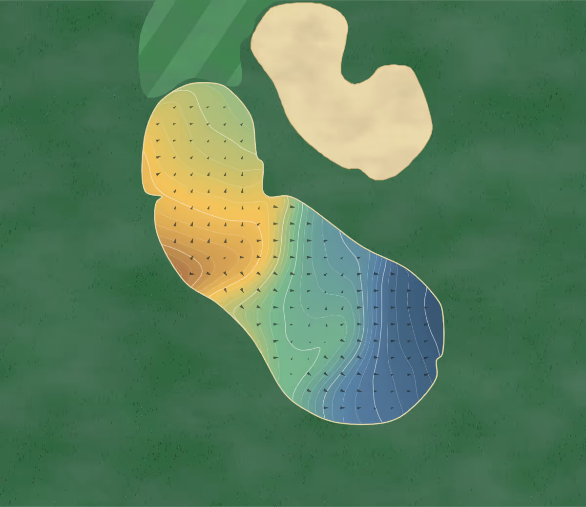 Green contour map of Wild Turkey in Hamburg, New Jersey — 245 elevation contours at a 3-inch interval with fall-line arrows, traced from 1-meter lidar