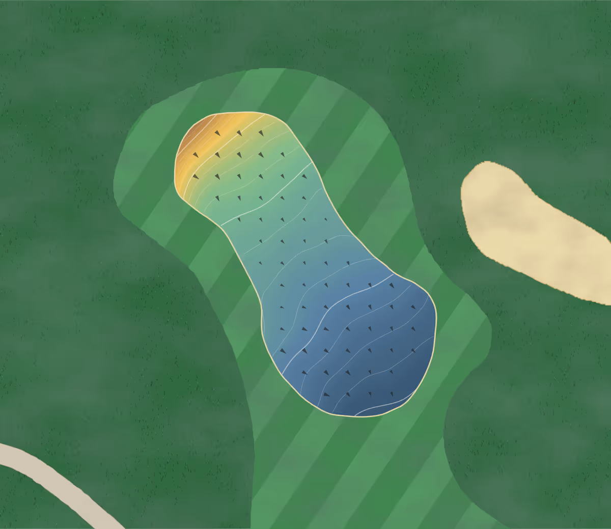 Green contour map of Wildflower in Detroit Lakes, Minnesota: 218 elevation contours at a 3-inch interval with fall-line arrows, traced from 1-meter lidar