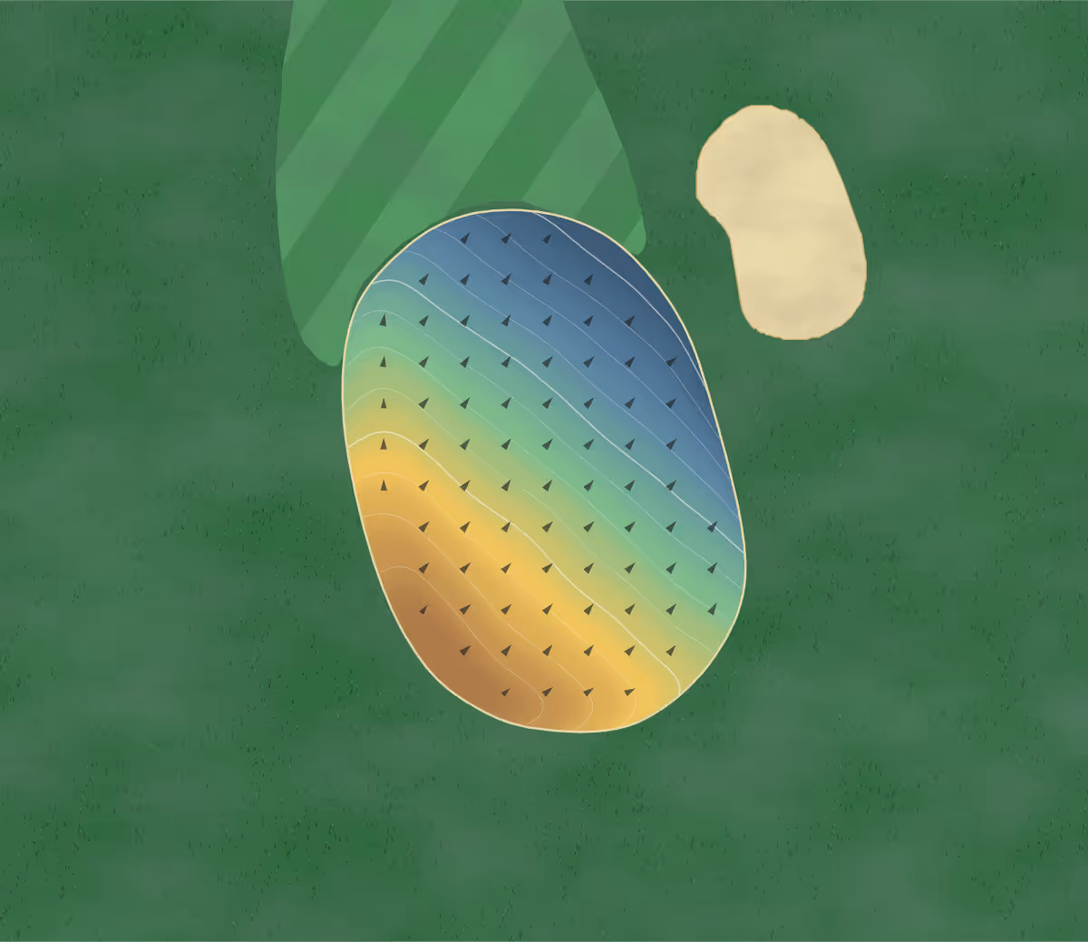 Green contour map of Wildwedge Golf & RV in Pequot Lakes, Minnesota — 86 elevation contours at a 3-inch interval with fall-line arrows, traced from 1-meter lidar