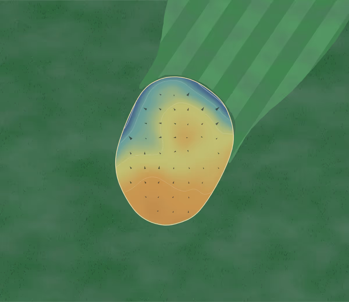 Green contour map of Will-O-Bend in Jaffray, Canada: 4 elevation contours at a 8-centimeter interval with fall-line arrows, traced from 1-meter lidar
