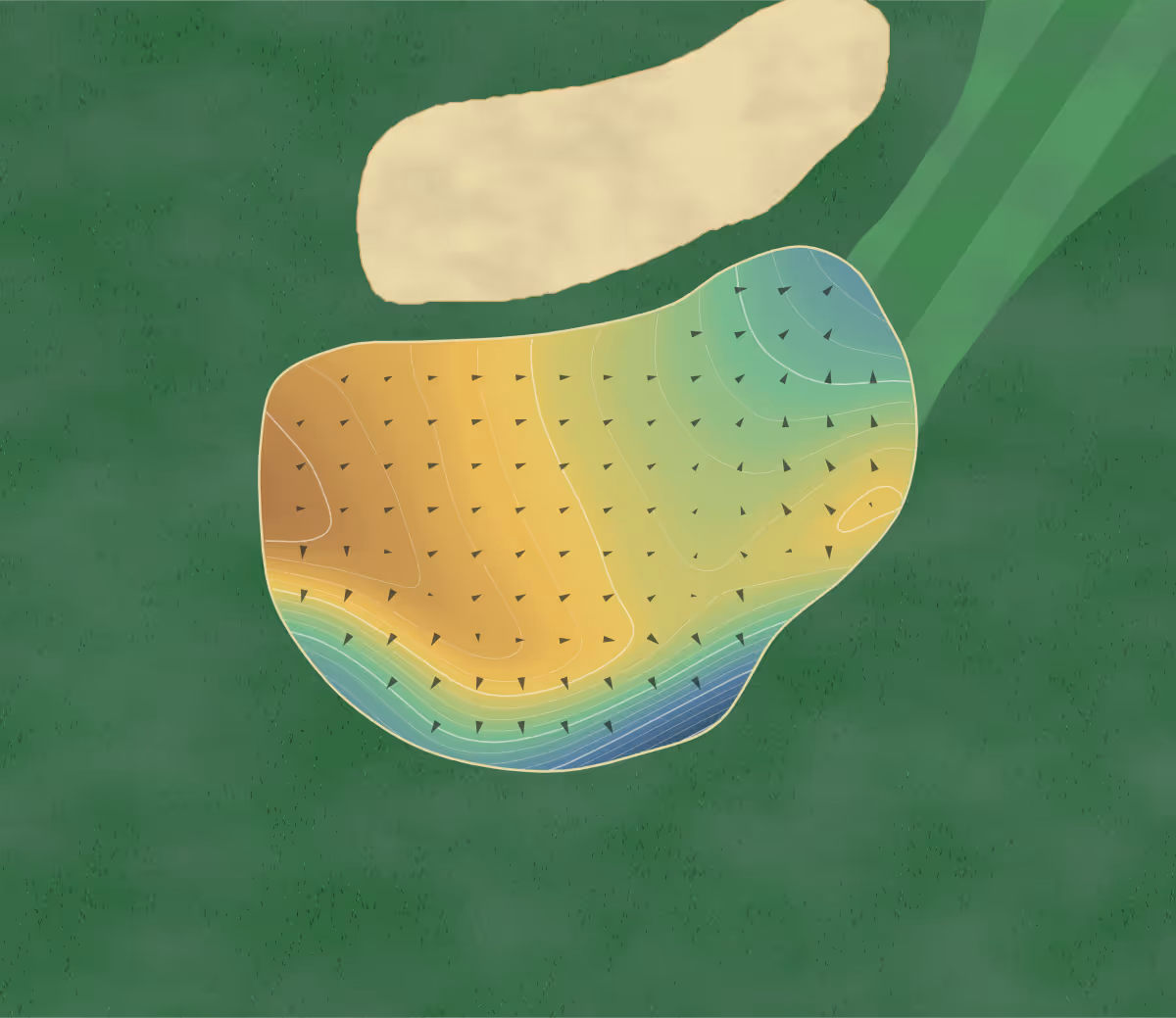 Green contour map of Williams Lake in Williams Lake, Canada — 251 elevation contours at a 8-centimeter interval with fall-line arrows, traced from 1-meter lidar