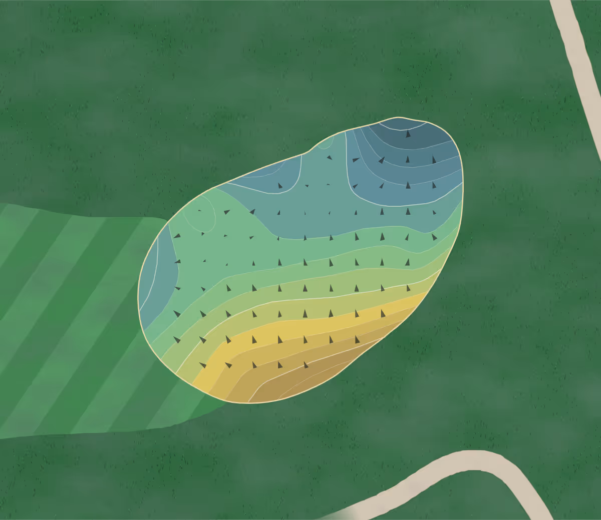 Green contour map of Willis Case in Denver, Colorado — 210 elevation contours at a 3-inch interval with fall-line arrows, traced from 1-meter lidar