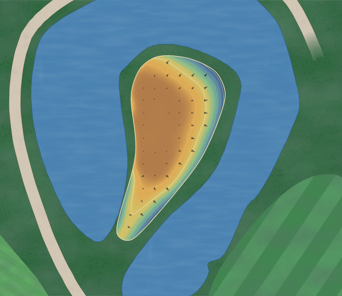 Green contour map of Willow Brook in Albertville, Alabama: 143 elevation contours at a 3-inch interval with fall-line arrows, traced from 1-meter lidar
