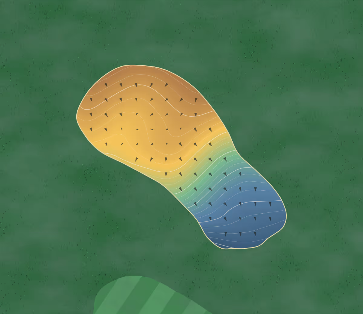 Green contour map of Willow Creek in Knoxville, Tennessee: 216 elevation contours at a 3-inch interval with fall-line arrows, traced from 1-meter lidar