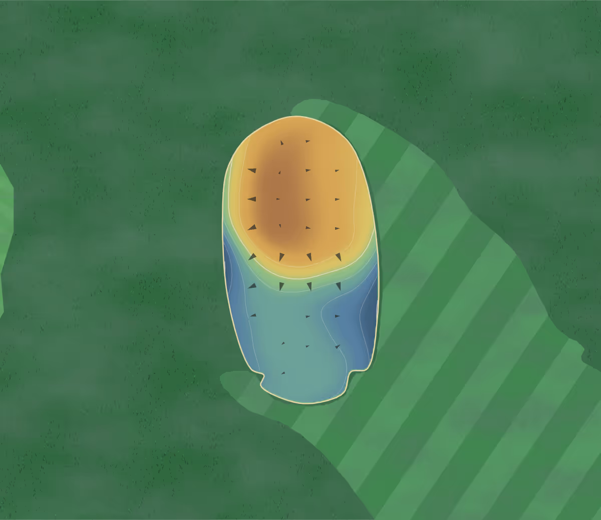 Green contour map of Willow Lakes in Titusvillle, Florida: 15 elevation contours at a 3-inch interval with fall-line arrows, traced from 1-meter lidar