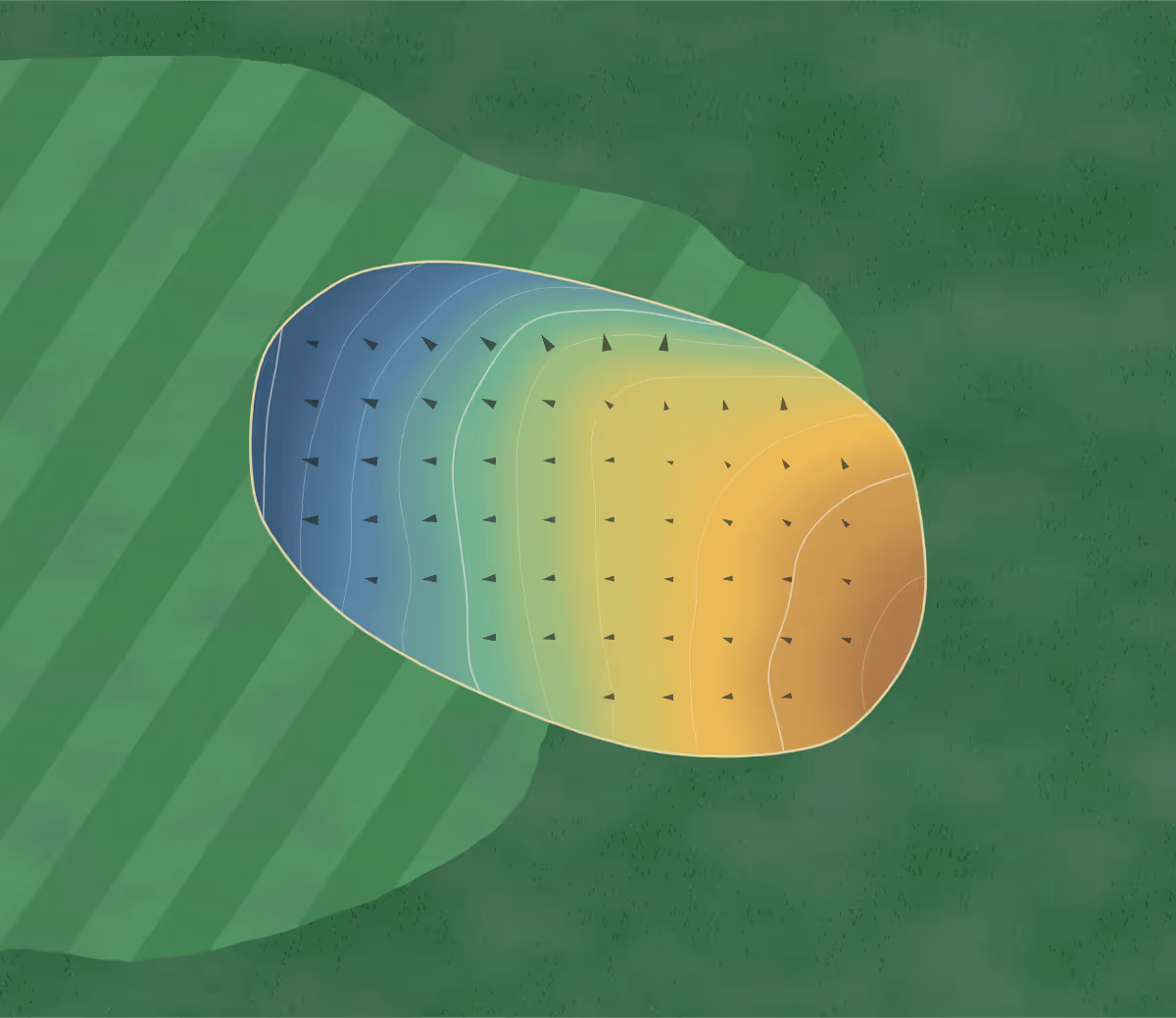 Green contour map of Wilson Lake in Marks, Mississippi: 38 elevation contours at a 3-inch interval with fall-line arrows, traced from 1-meter lidar
