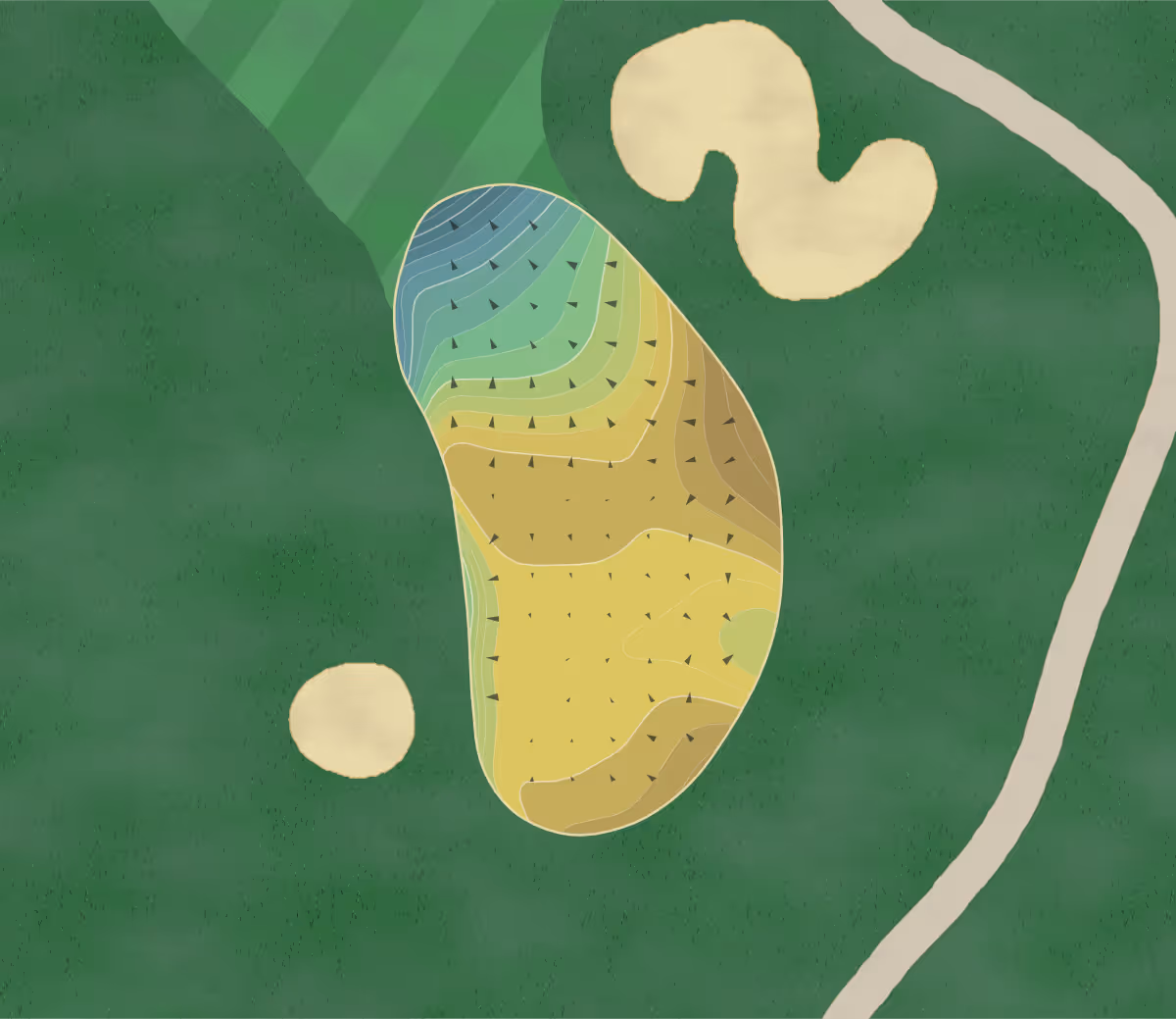 Green contour map of Winchester in Meadow Vista, California — 339 elevation contours at a 3-inch interval with fall-line arrows, traced from 1-meter lidar