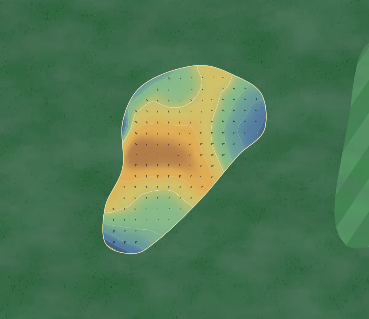 Green contour map of Windermere in Lacombe, Canada — 52 elevation contours at a 8-centimeter interval with fall-line arrows, traced from 1-meter lidar