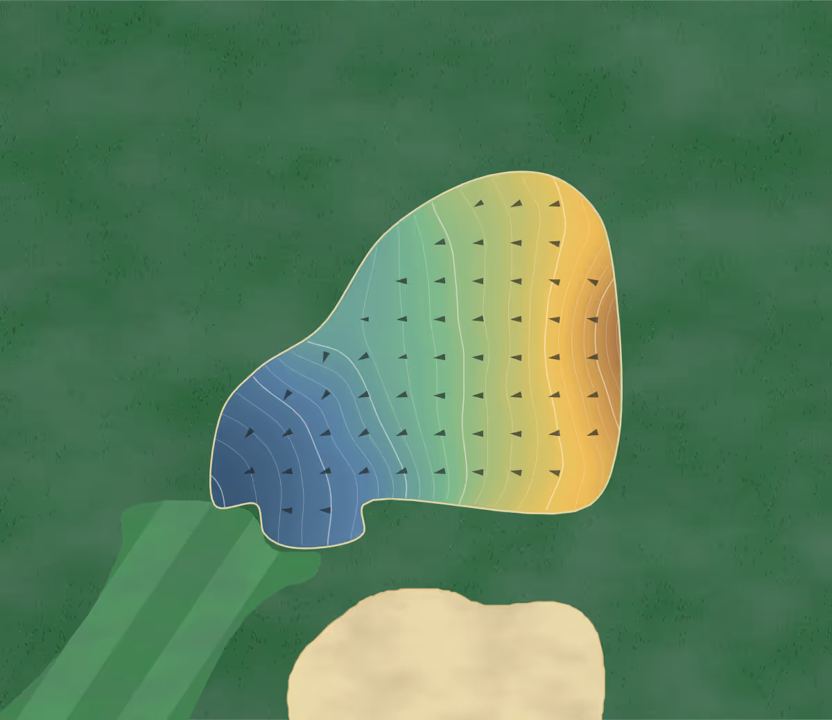 Green contour map of Winding River in Indianapolis, Indiana: 258 elevation contours at a 3-inch interval with fall-line arrows, traced from 1-meter lidar