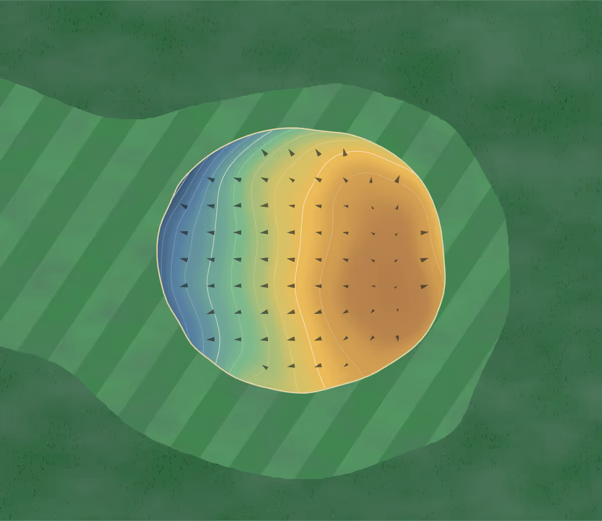 Green contour map of Windom in Windom, Minnesota: 72 elevation contours at a 3-inch interval with fall-line arrows, traced from 1-meter lidar