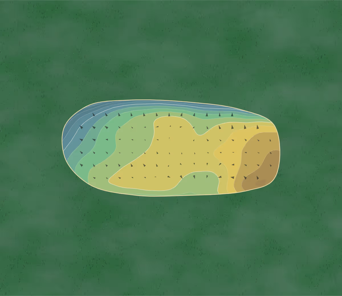 Green contour map of Winged Pheasant in Shortsville, New York — 196 elevation contours at a 3-inch interval with fall-line arrows, traced from 1-meter lidar