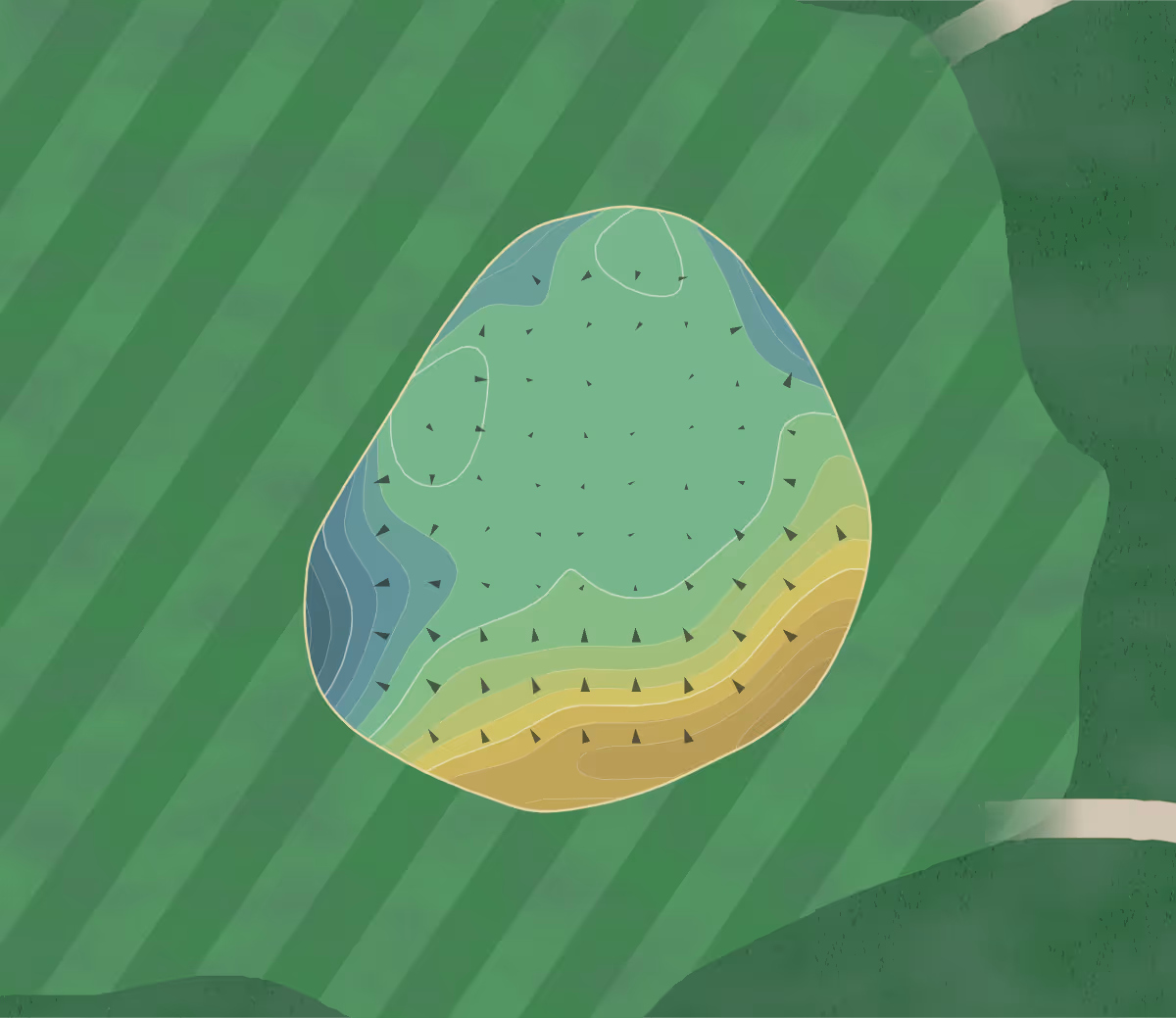 Green contour map of Winter Park in Winter Park, Florida — 131 elevation contours at a 3-inch interval with fall-line arrows, traced from 1-meter lidar
